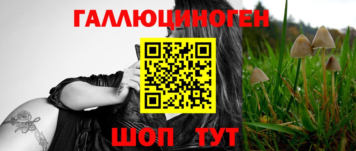 Галлюциногенные грибы мухоморы Кулебаки