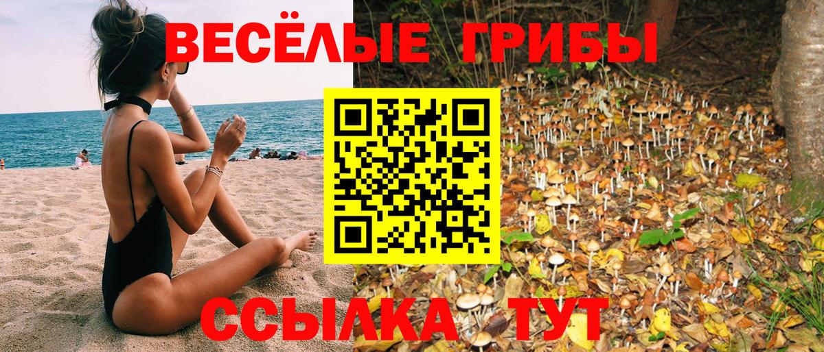 Галлюциногенные грибы прущие грибы  Вход с VPN  Кулебаки 